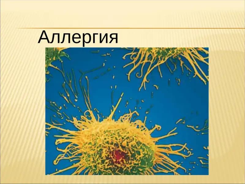 Аллергия