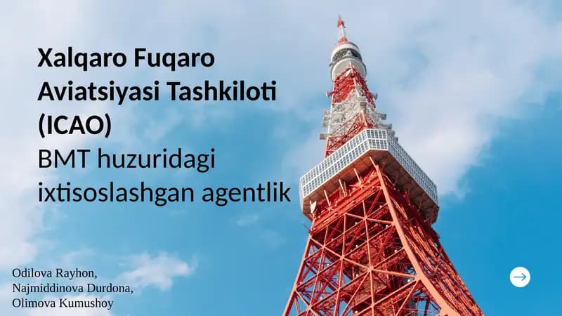 Xalqaro Fuqaro Aviatsiyasi Tashkiloti(ICAO)