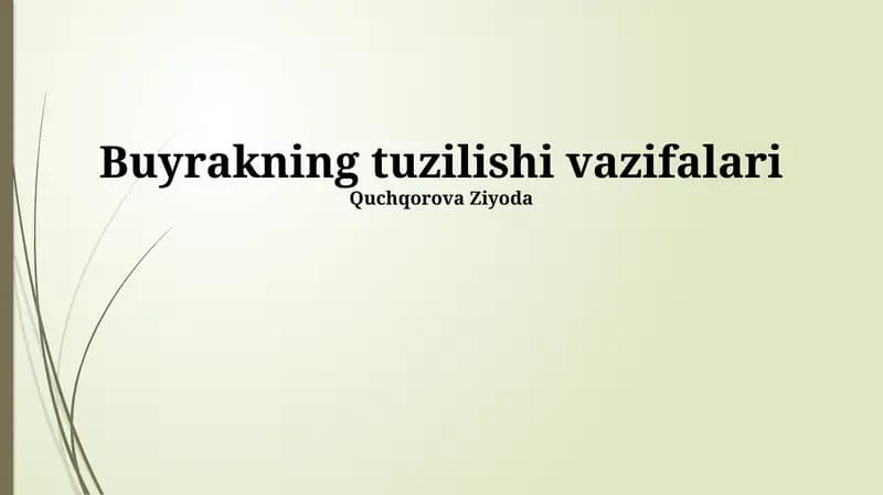 Nefronning tuzilishi va vazifasi