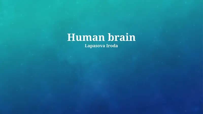 Human brain