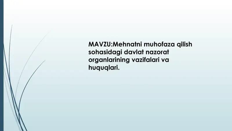 Davlat nazorati mehnat sohasida