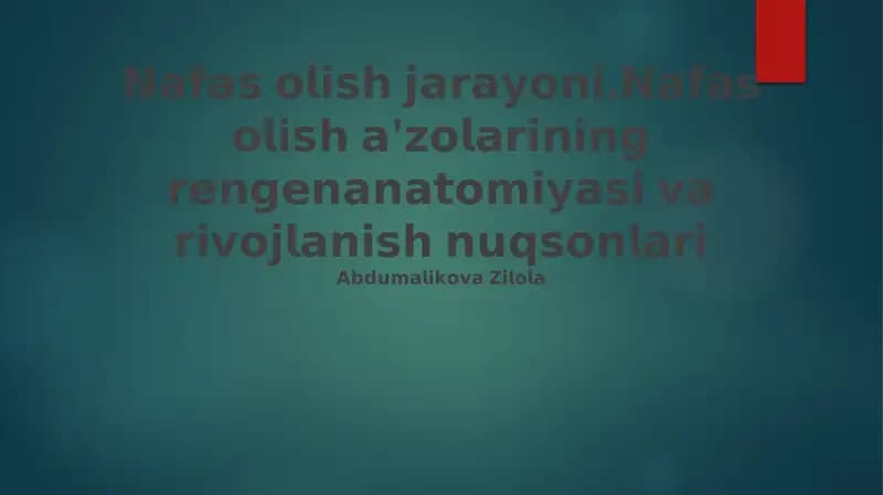 Nafas Olish Jarayonining Fiziologiyasi