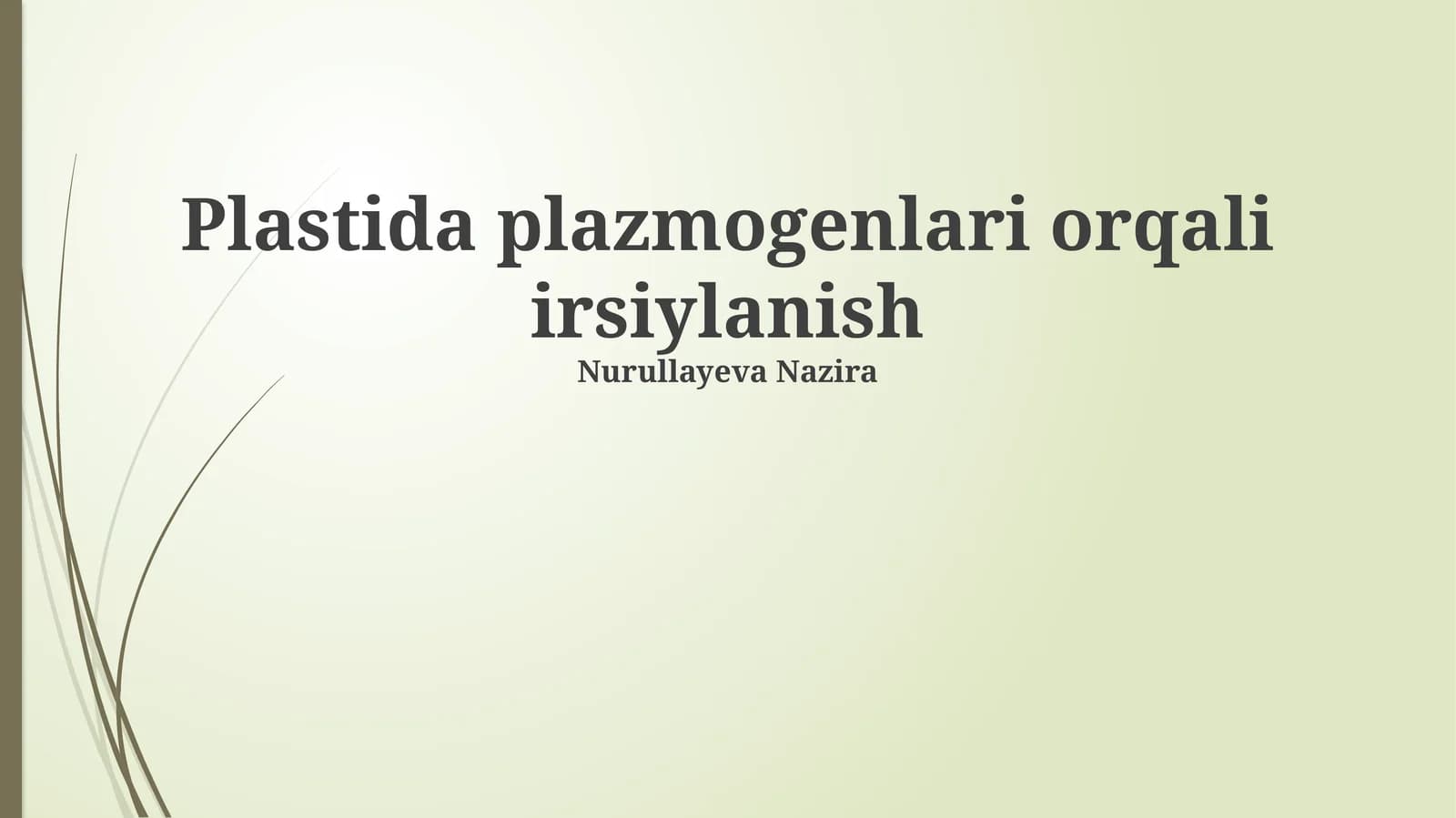 Plastida plazmogenlari orqali irsiylanish