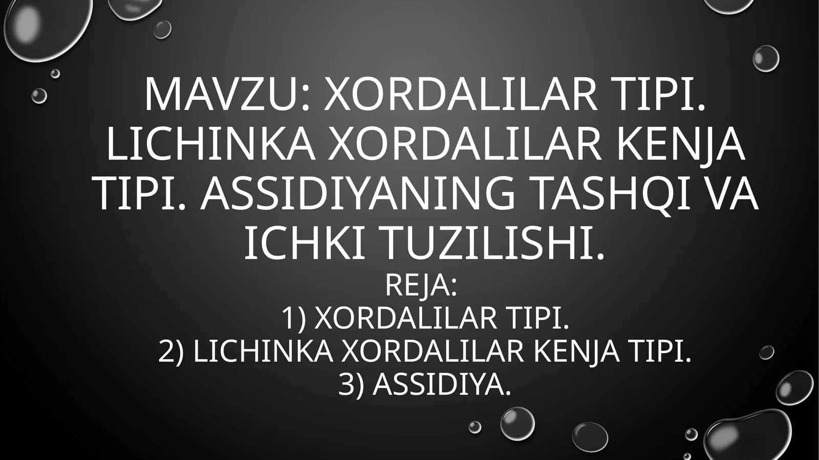Xordalilar (Chordata)