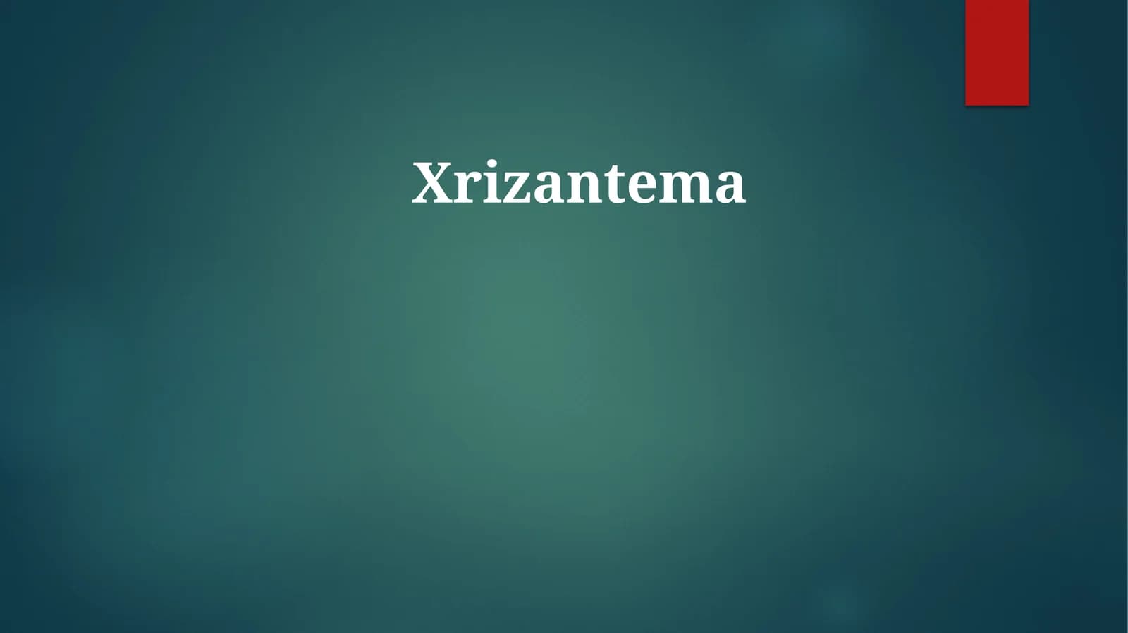 Xrizantema