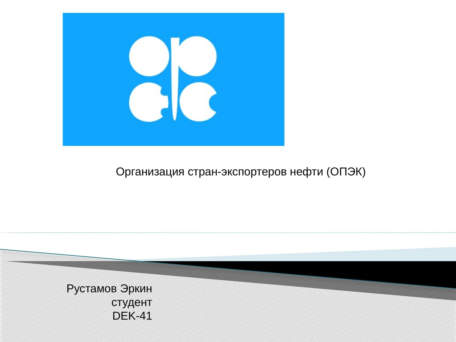 Организация стран-экспортеров нефти (ОПЭК)