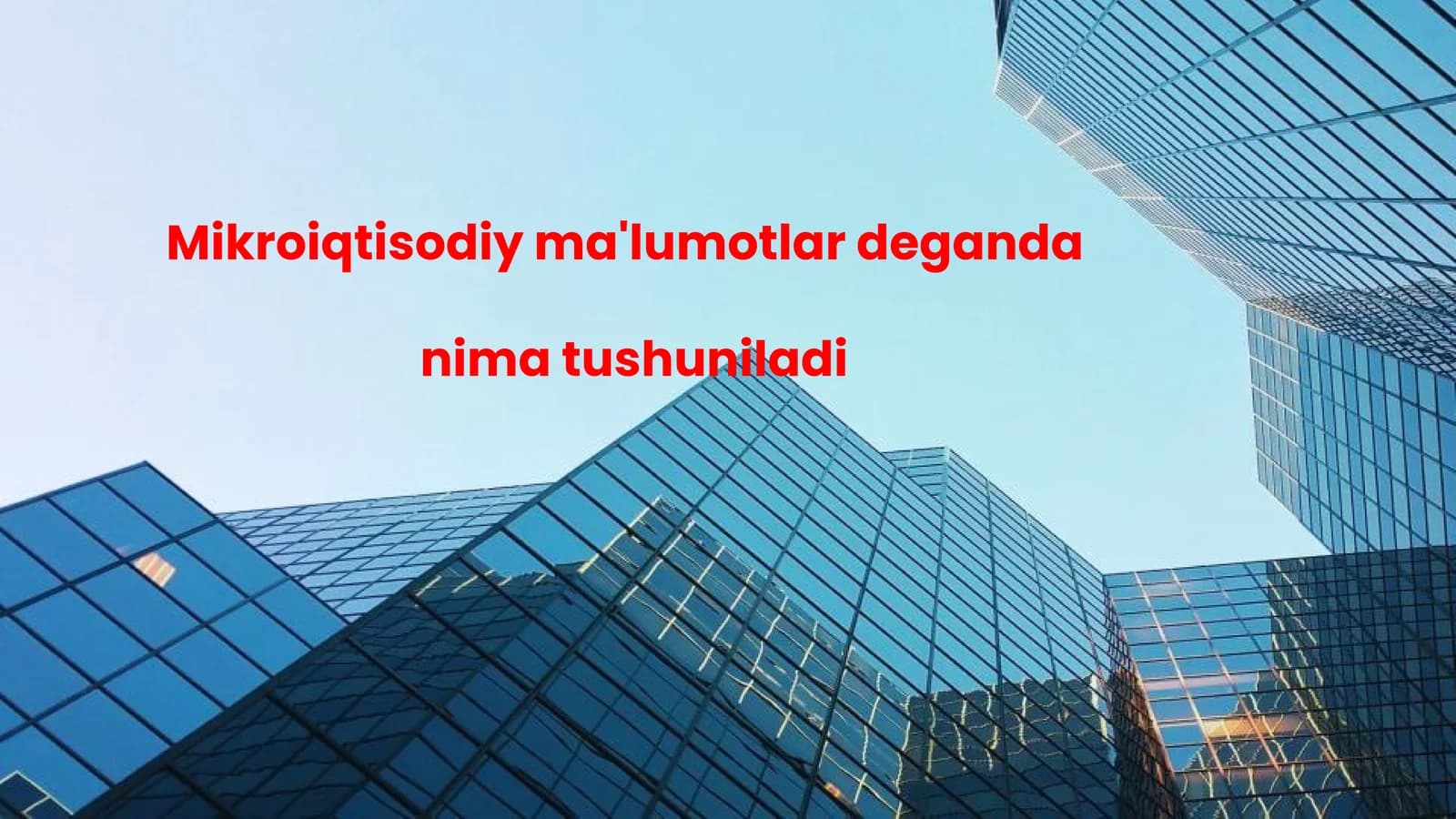 Mikroiqtisodiy ma'lumotlar