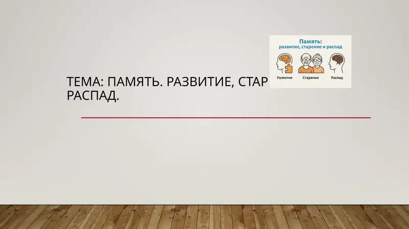 Память. Развитие, старение и распад