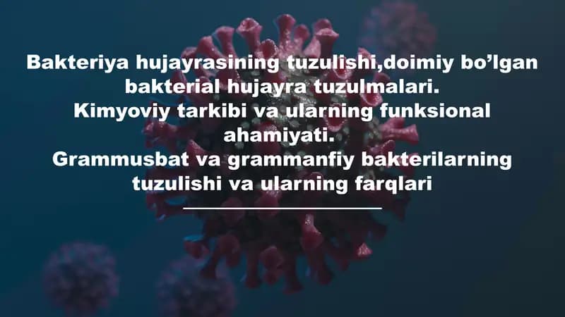 Bakteriya hujayrasining tuzulishi