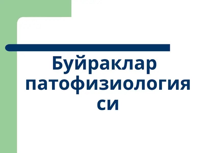Буйраклар физиологияси