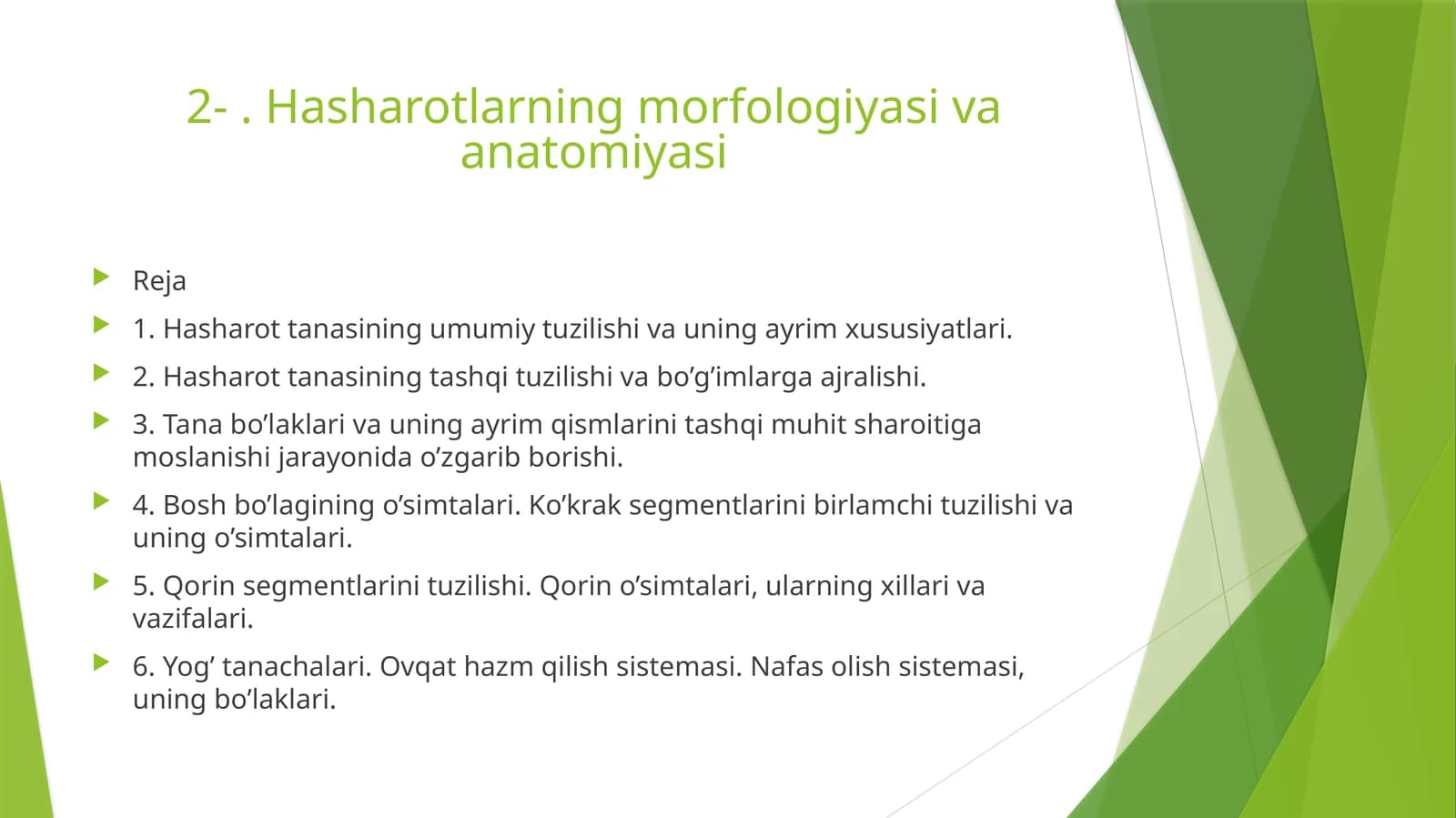Hasharotlarning morfologiyasi va anatomiyasi