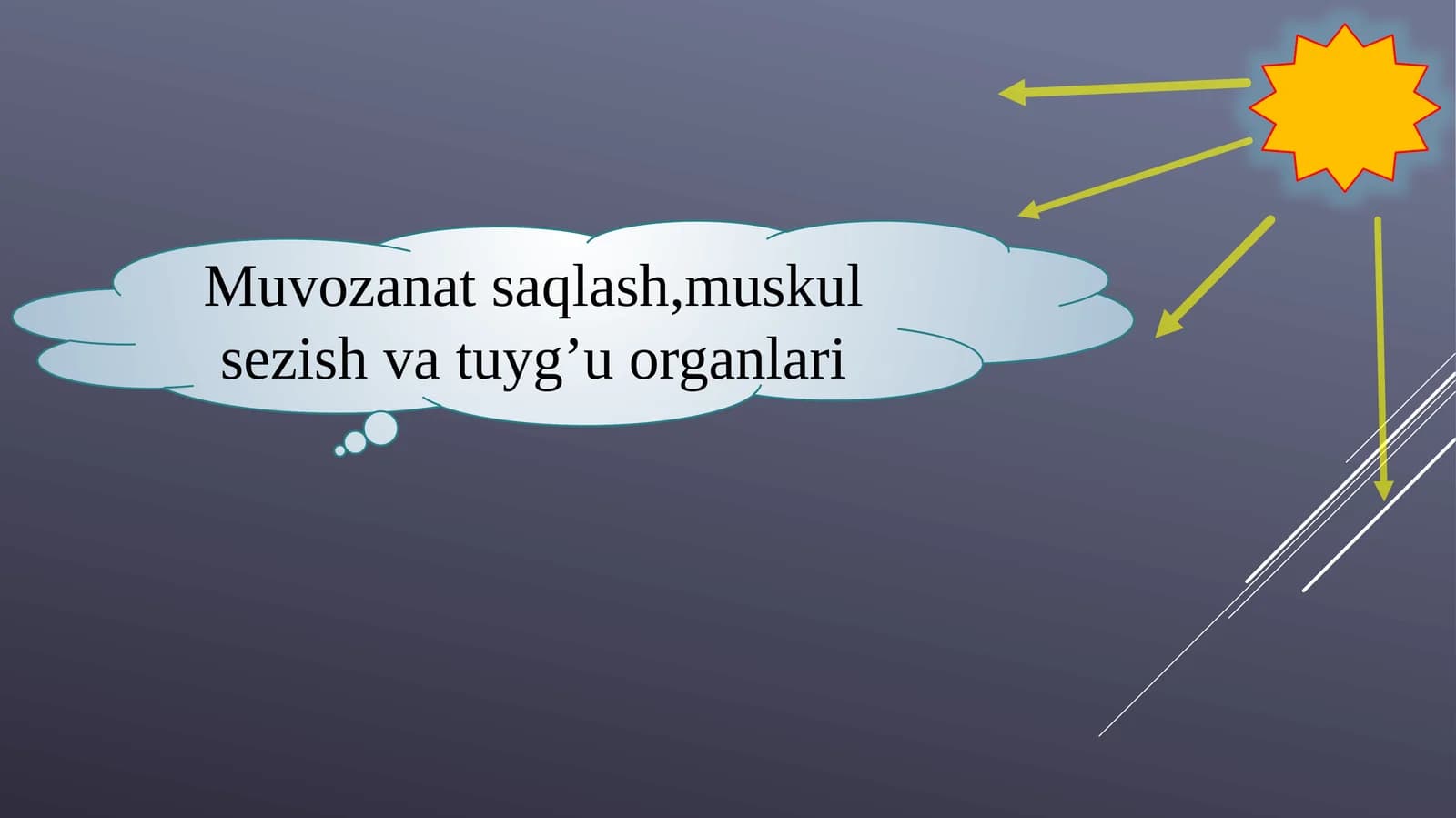 Eshitish organlarining tuzilishi, eshitish gigiyenasi