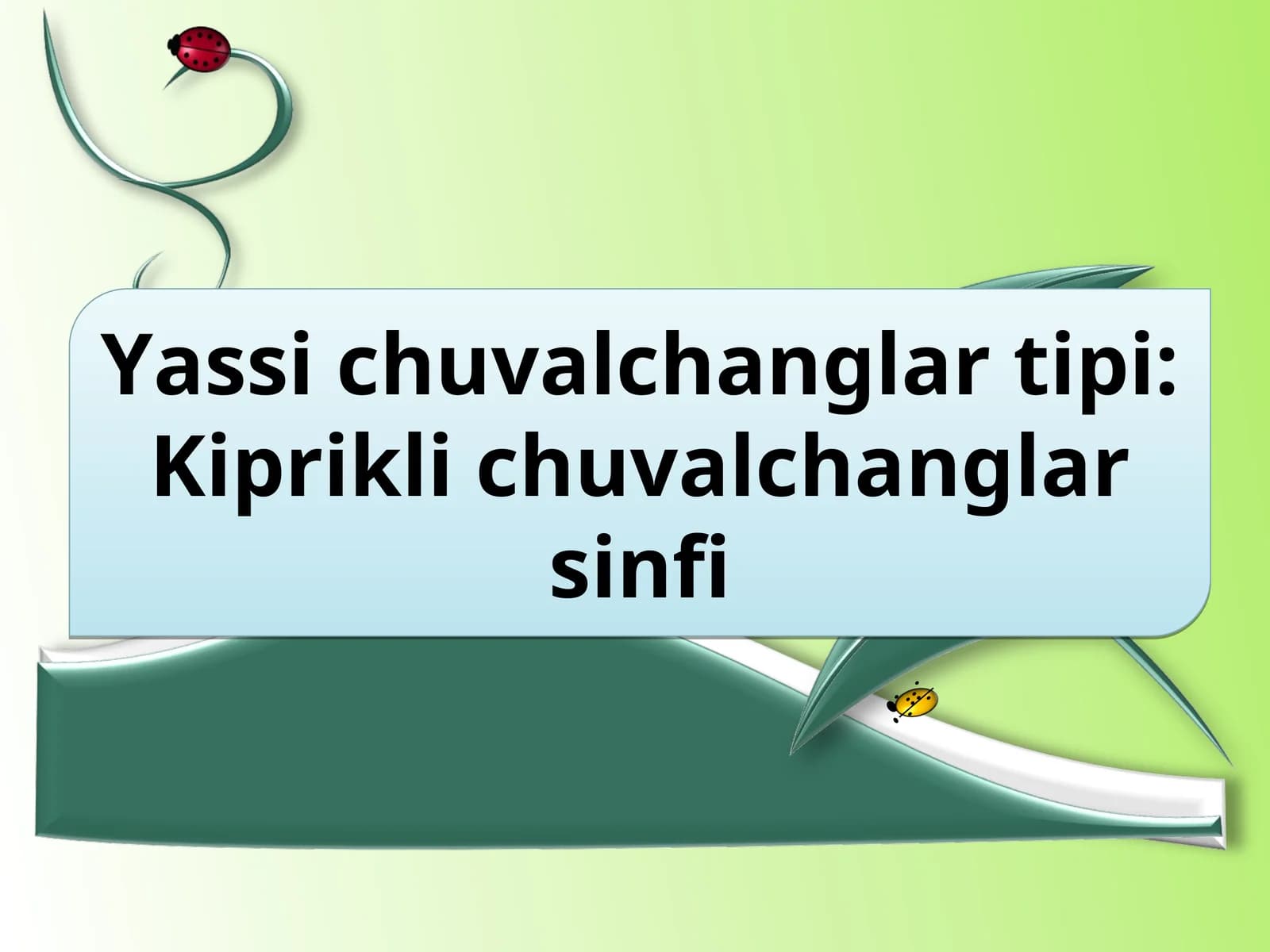 Yassi chuvalchanglar tipi:Kiprikli chuvalchanglar sinfi