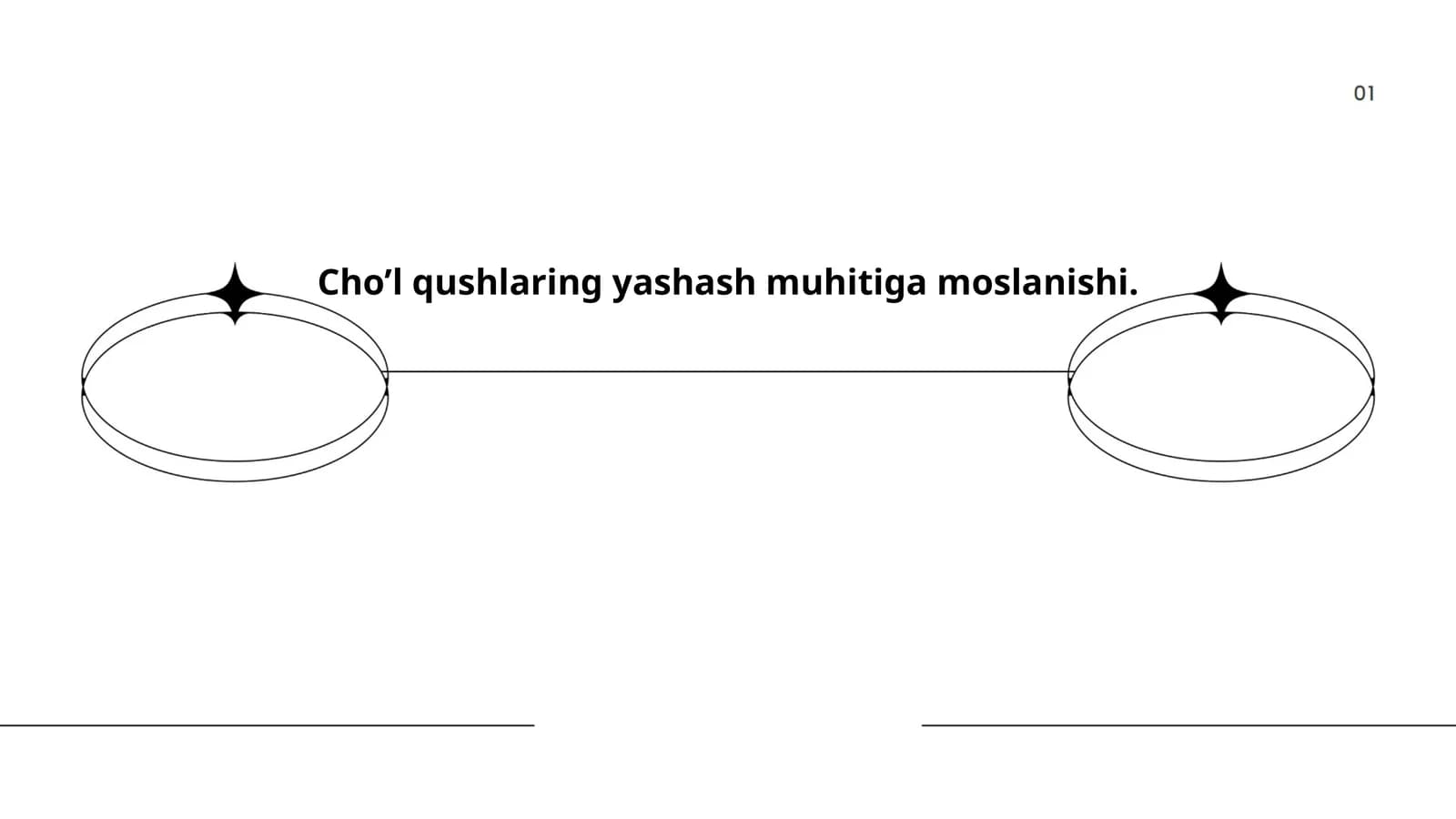 Cho'l qushlarning yashash muhiti
