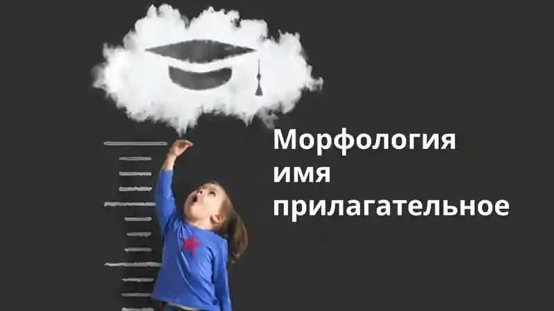 Морфологияимяприлагательное