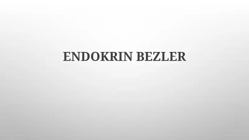 Endokrin bezler