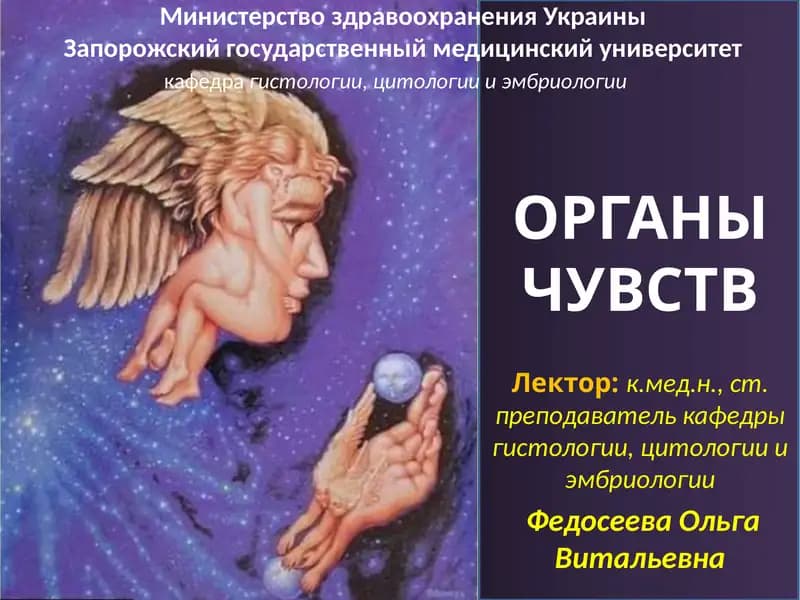 ОРГАНЫ ЧУВСТВ
