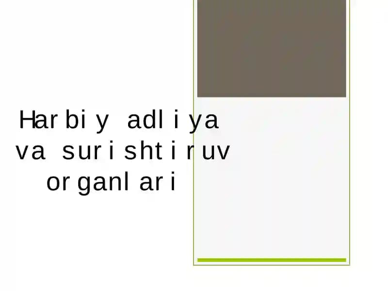 Harbiy adliya va surishtiruv organlari