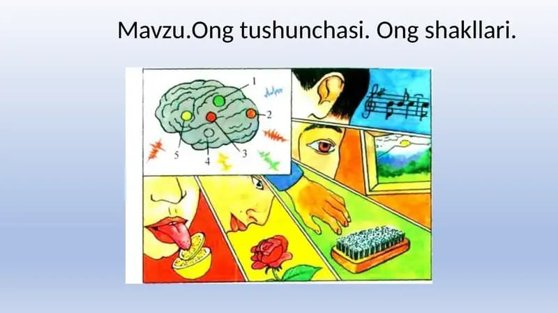 Ong tushunchasi va shakllari