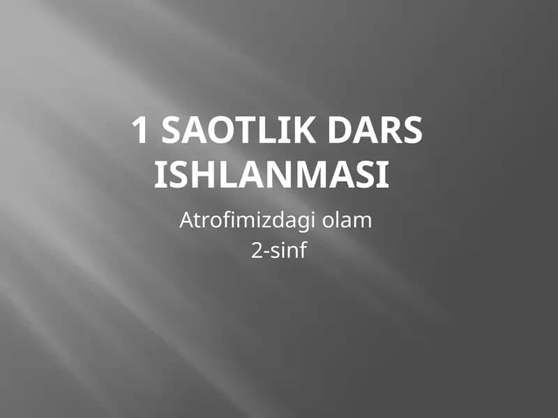 Hashorotlar olami