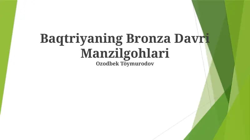 Baqtriyaning Bronza Davri Manzilgohlari