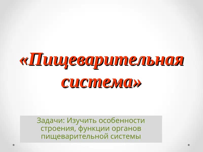 "Пищеварительная система"