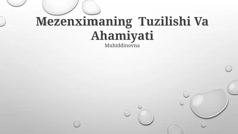 Mezenximaning Tuzilishi Va Ahamiyati