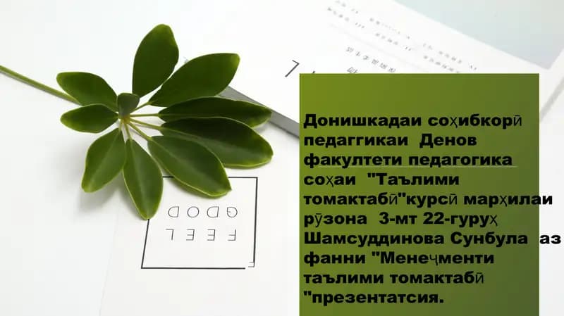 Идоракунии раванди педагогии дар мтт