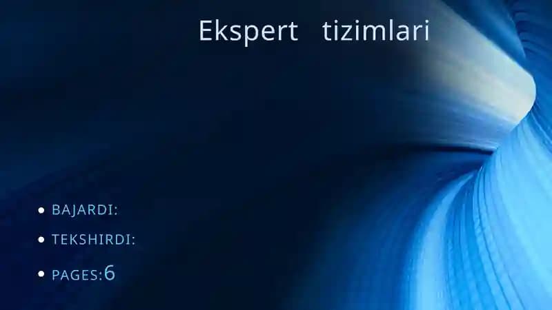 Ekspert   tizimlari