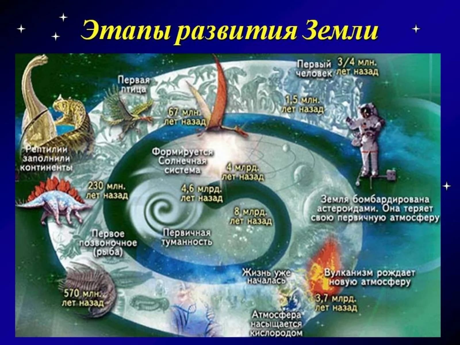 Этапы развития жизни на Земле