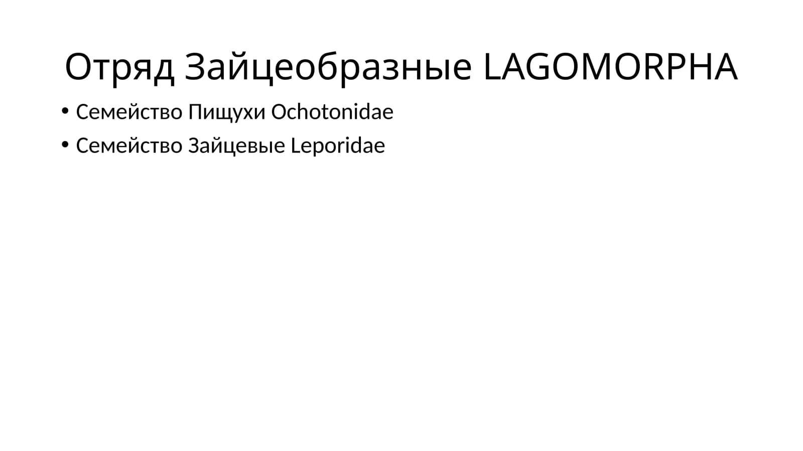 Отряд Зайцеобразные LAGOMORPHA