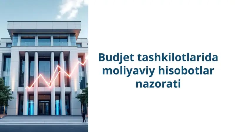 Budjet tashkilotlarida moliyaviy hisobotlar nazorati