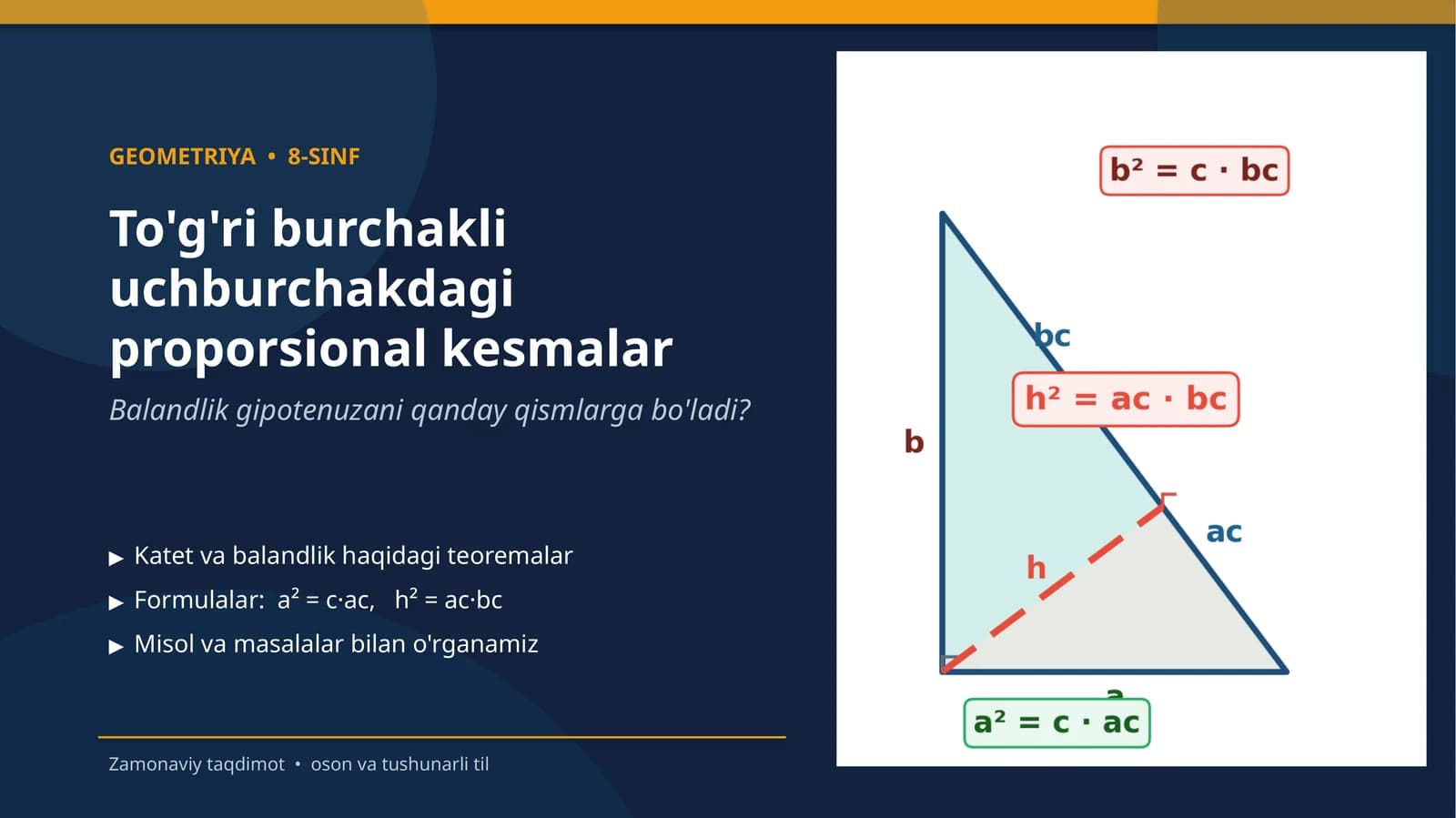 To'g'ri burchakli uchburchakdagi proporsional kesmalar