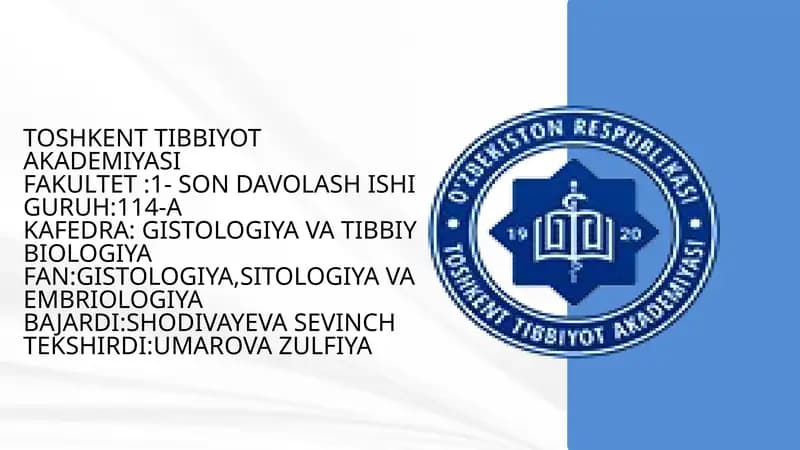 Limfotsitlar TUZILISHI