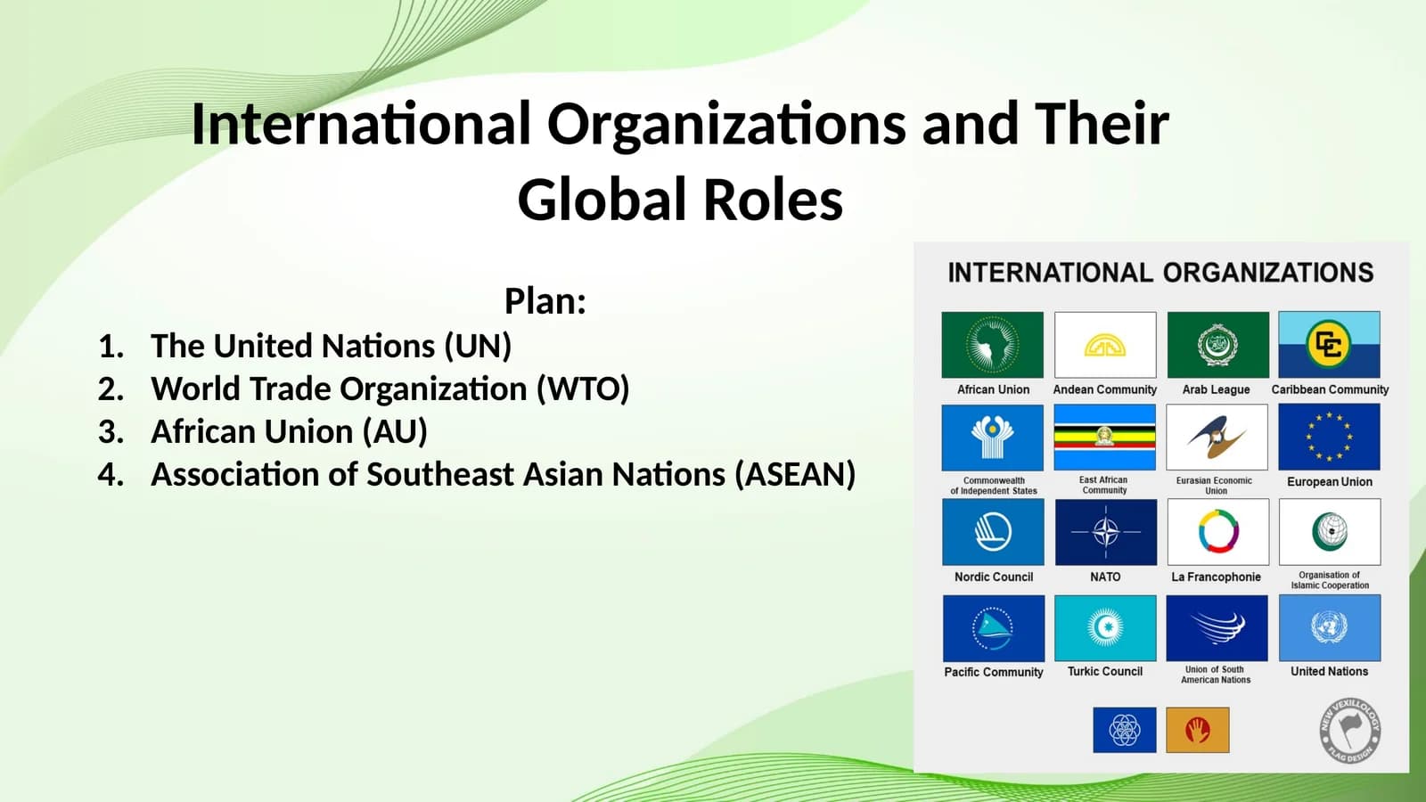 International Organizations and Their Global Roles