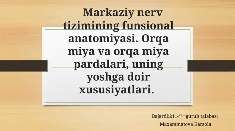 Markaziynervtizimi haqida qisqacha