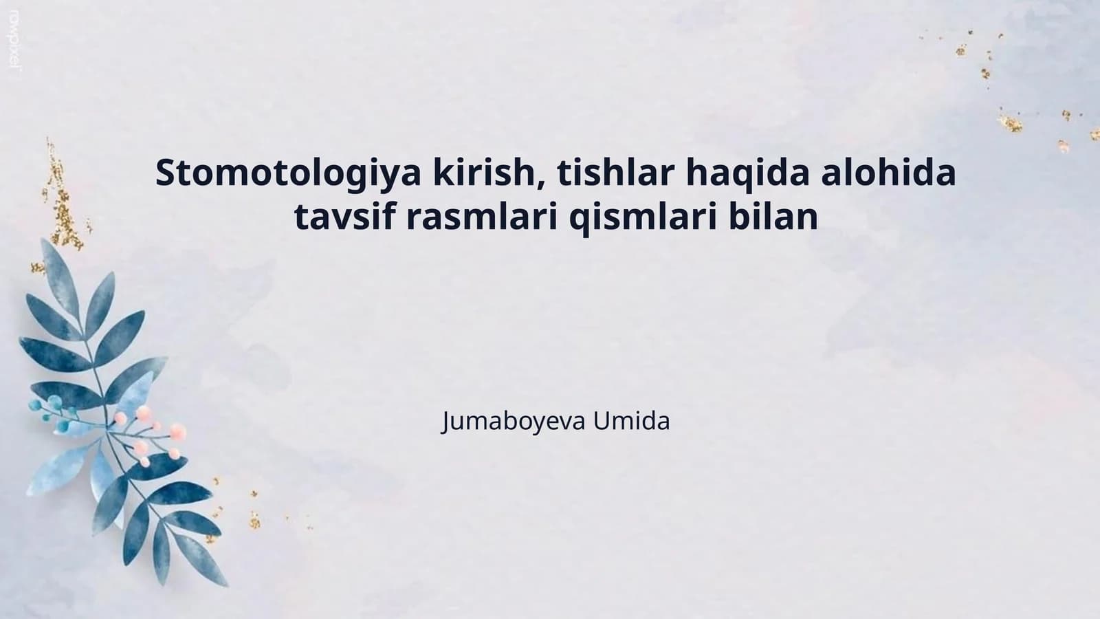Stomotologiya kirish, tishlar haqida alohida tavsif rasmlari qismlari bilan