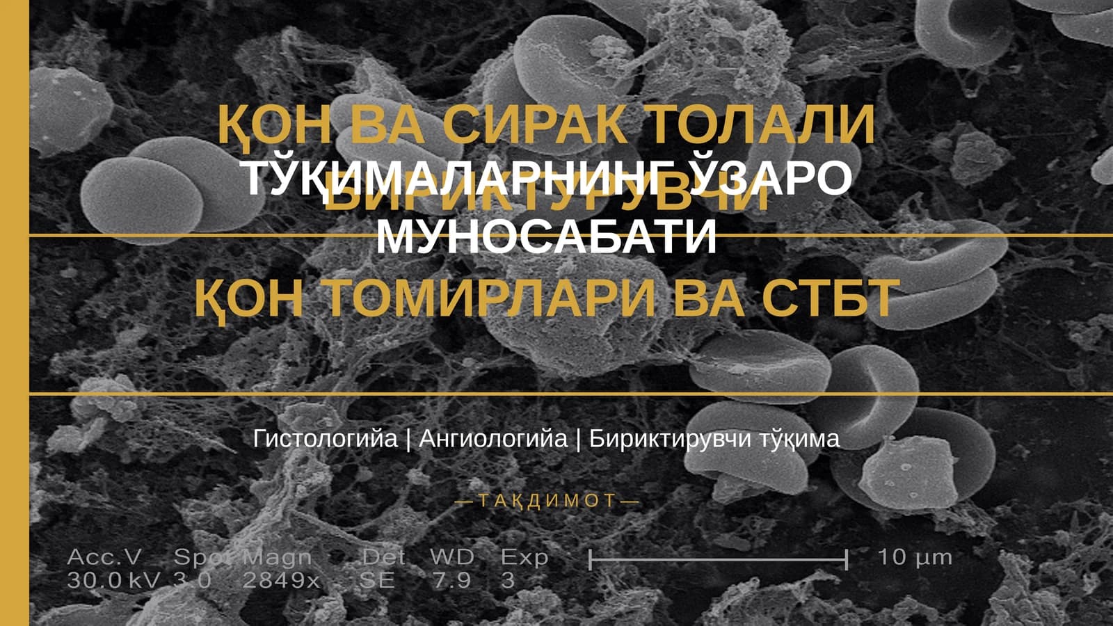 ҚОН ВА СИРАК ТОЛАЛИ БИРИКТУРУВЧИ