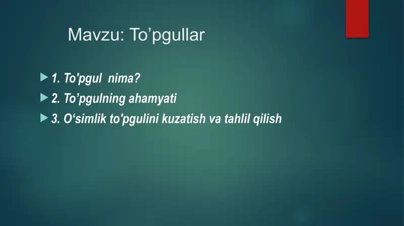 To'pgullar