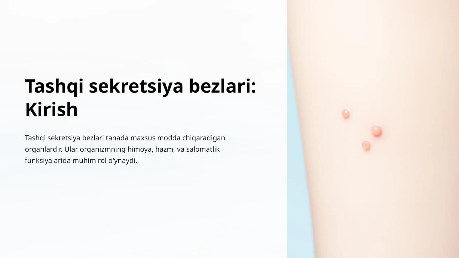 Tashqi sekretsiya bezlari: Kirish