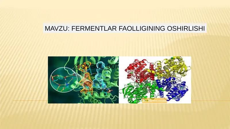Fermentlar faolligining oshirilishi