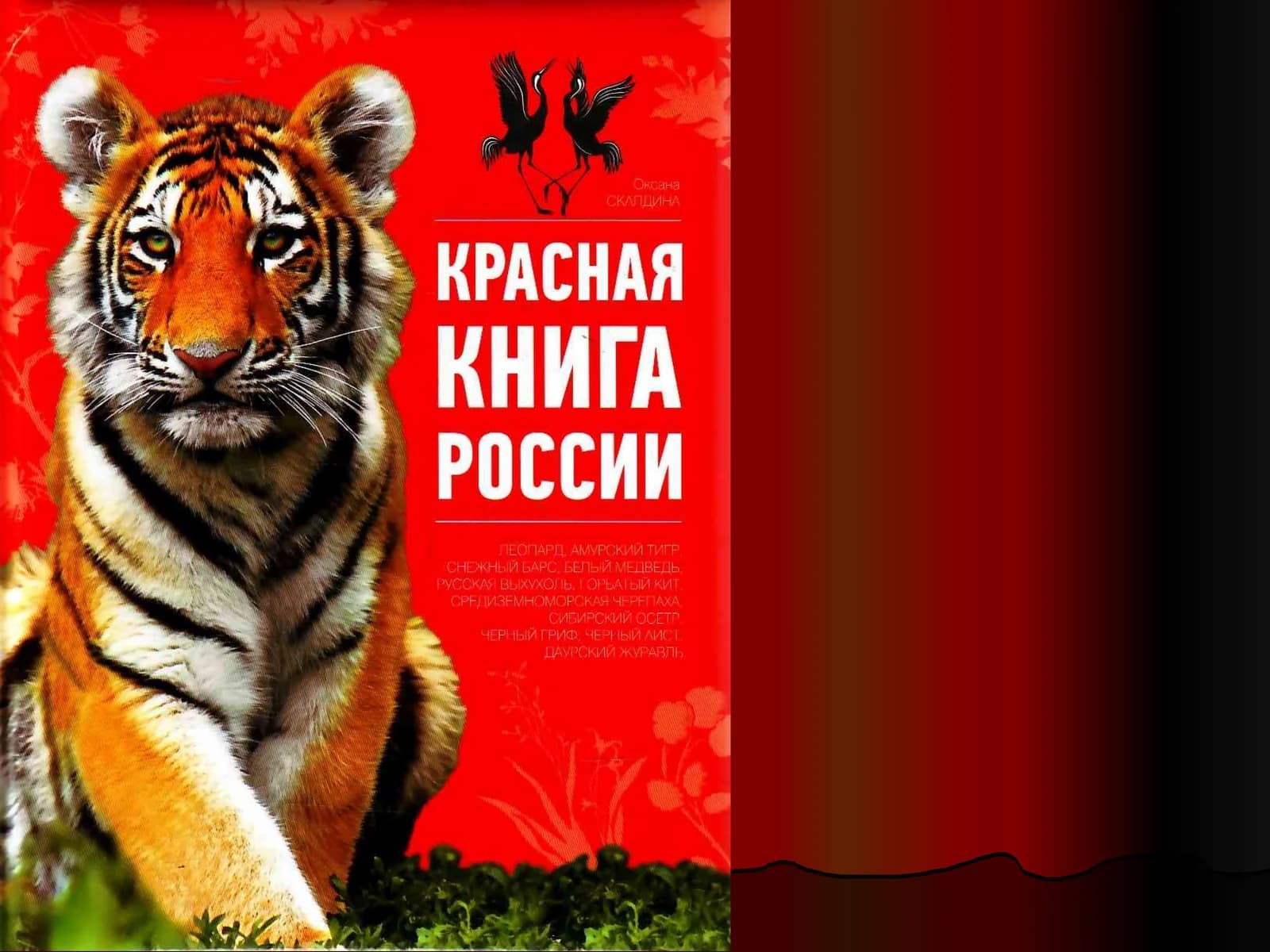 Красная книга