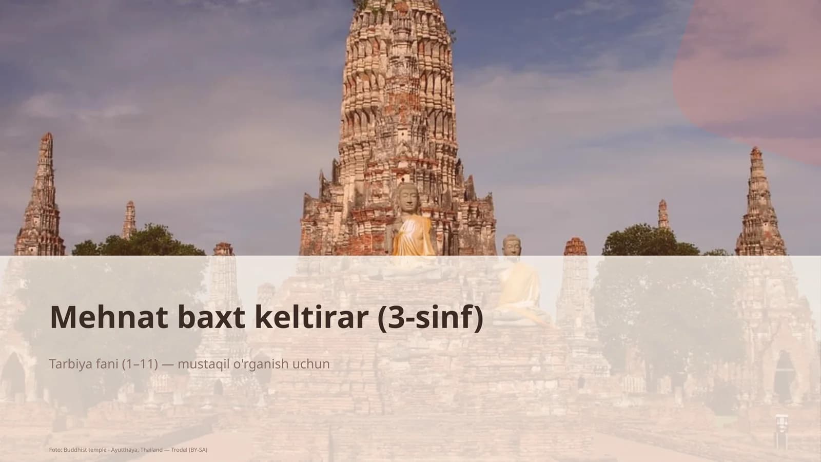 Mehnat baxt keltirar (3-sinf)