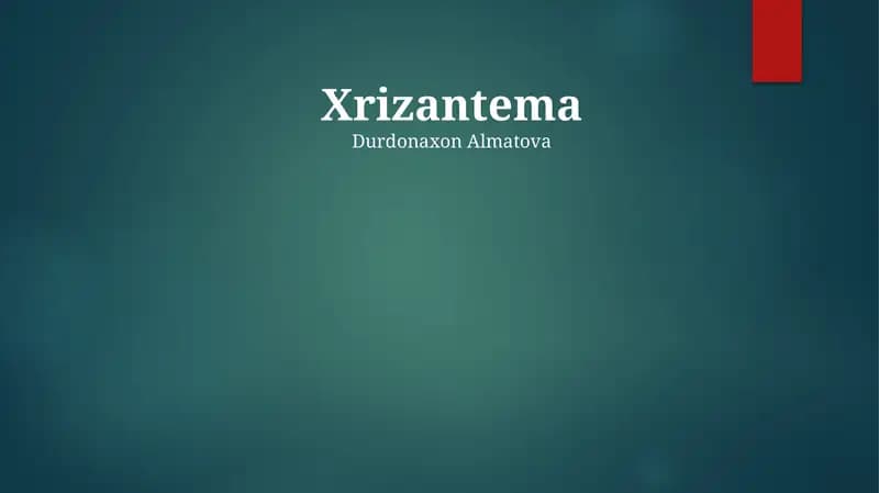 Xrizantema