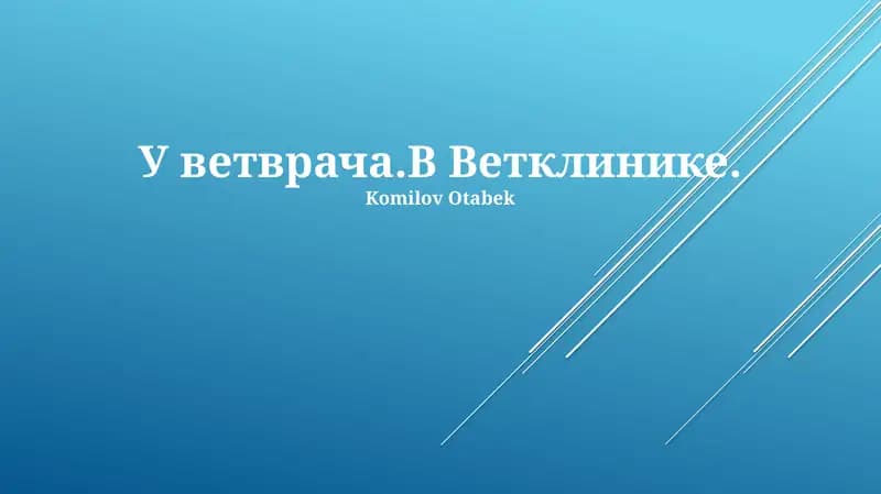 Прием у ветеринара: от регистрации до осмотра
