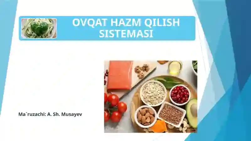 OVQAT HAZM QILISH SISTEMASI