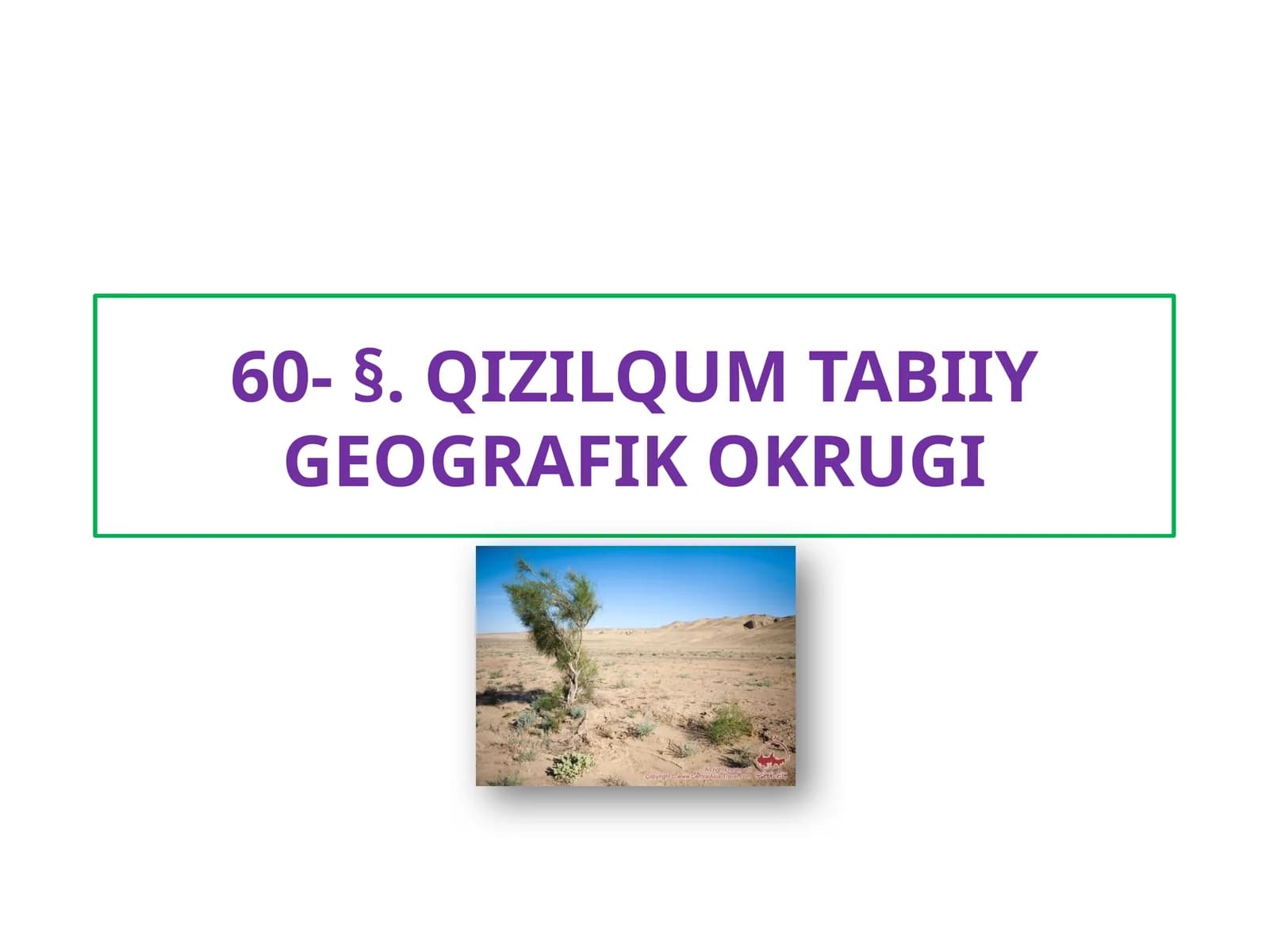 QIZILQUM TABIIY GEOGRAFIK OKRUGI
