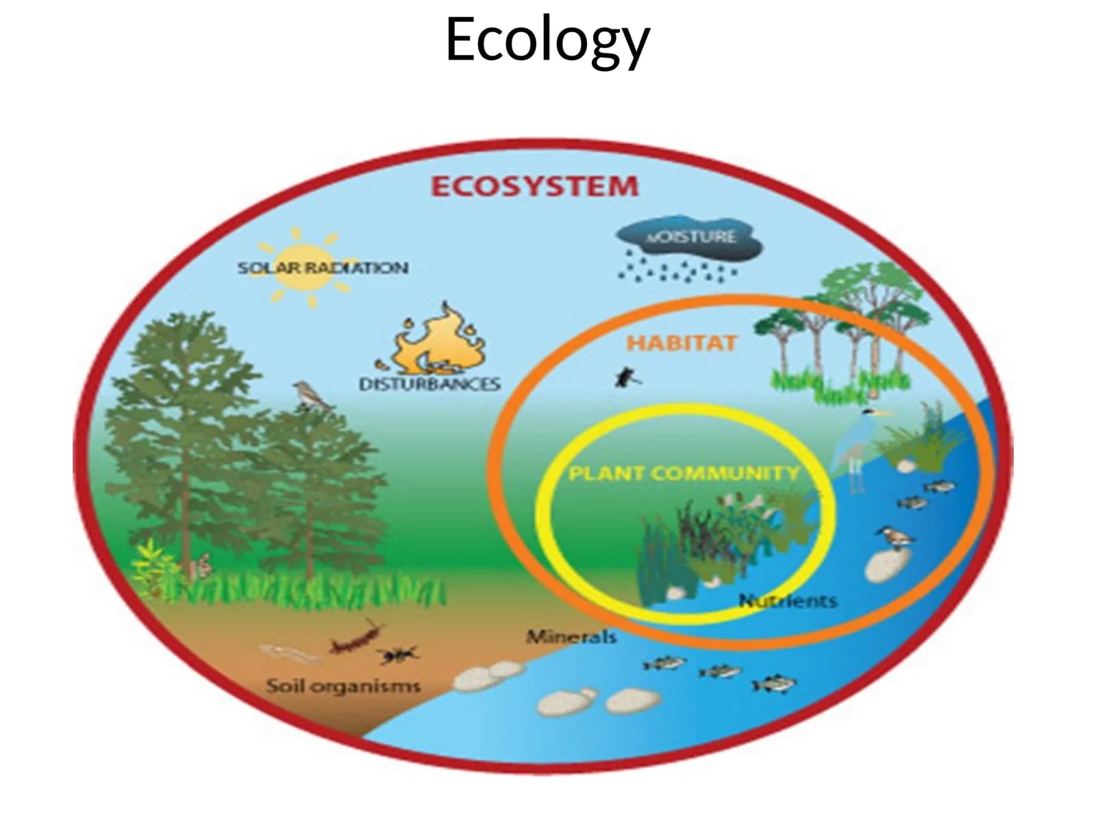 Ecology