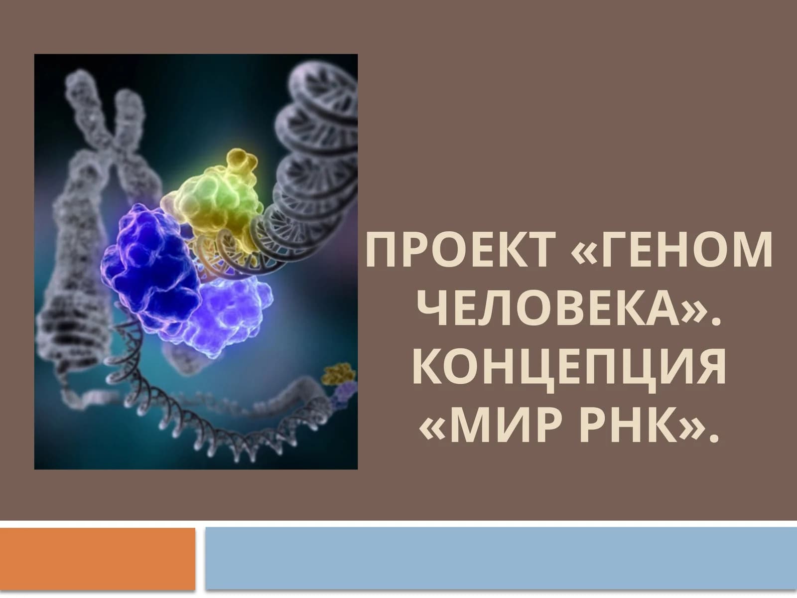 Мир РНК