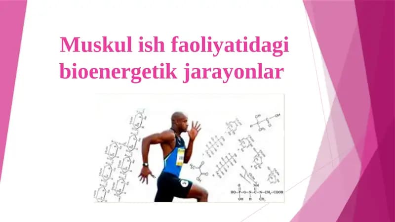 Muskul ish faoliyatidagi bioenеrgеtikjarayonlar